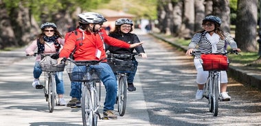 Avventura gastronomica di Lucca in bicicletta per piccoli Gruppi