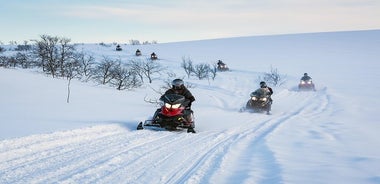 Motorschlittensafari im Bergplateau von Finnmarksvidda