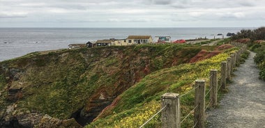 Lizard Point: Sjálfsleiðsögn Ljósmyndatúr