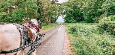 Killarney-Nationalpark-Tour