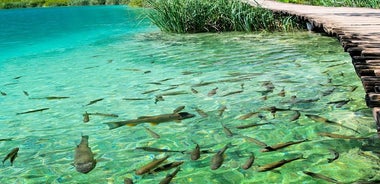  ラストケ湖とプリトヴィッツェ湖群国立公園のプライベート折衷体験