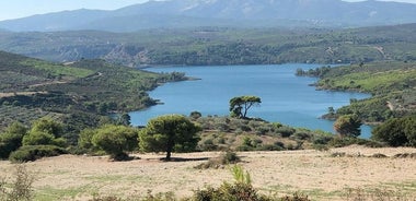 Esperienza fuori strada sul lago Marathon con veicoli 4x4