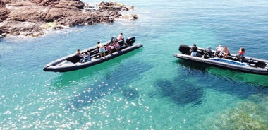 Cannes: 2.5-Hour Esterel Calanques Boat Excursion