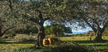 Argostoli y pueblos: tour privado con degustación de aceite de oliva