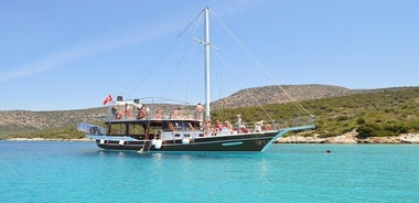 Excursion quotidienne en bateau à Bodrum sur l'île noire