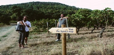 Winetour & food experience in Pic St Loup