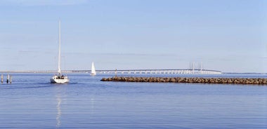 Copenhagen: Tour Across the Øresund Bridge to Lund and Malmö