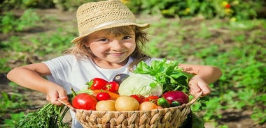 Clase práctica de cocina y visita a una granja en la costa de Amalfi