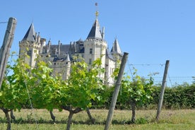 Visite des vins de la vallée de la Loire à Chinon et Bourgueil