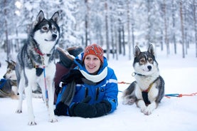 Husky Safari uit Rovaniemi Inclusief een Husky Sled Ride