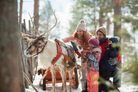 Ógleymanlegt Rovaniemi ferðalag: Heimsókn á hreindýrafarm með sleðaferð