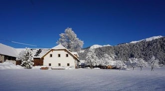 Bauernhof Waldbauer