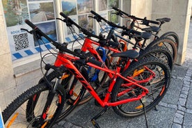 Bled: Mountain Bike Rental