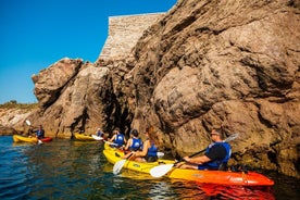 Two-Hour Guided Sea Kayaking Tour in Sete