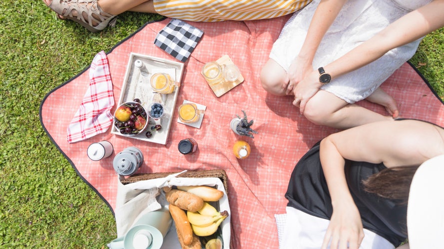 elevated-view-female-friends-sitting-with-food-picnic-blanket (1).jpg