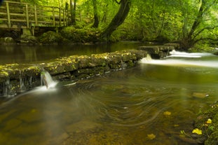 The Dingle, Anglesey