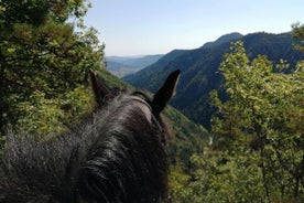 Half Day Horse Riding to Soskovcheto Preserve in Smolyan