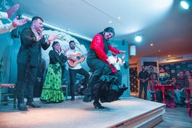 BESTE VAN Granada: Flamenco-, tapas- en wijntour