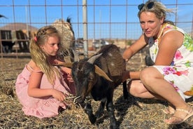 Experiencia Senderismo Familiar con Cabras en Fuerteventura