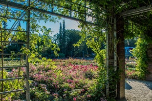 Różanka Rose Garden