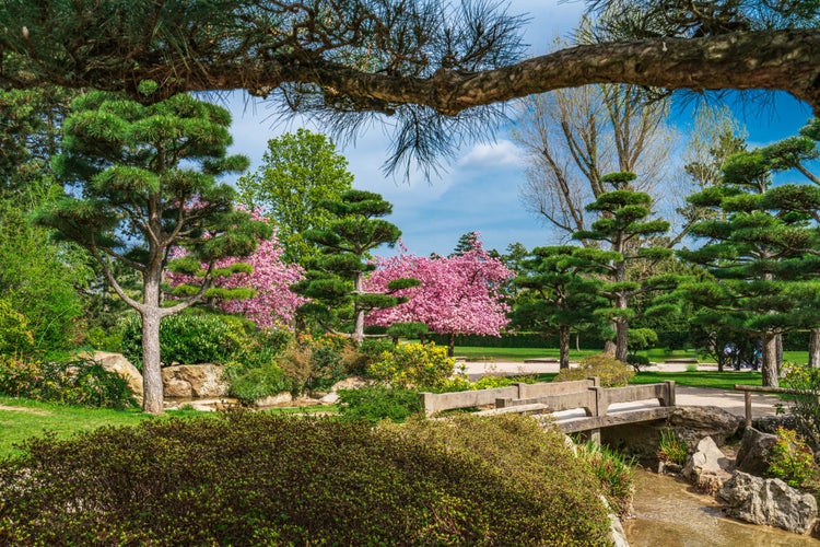 Photo of Japanese garden in Nordpark, Dusseldorf, Germany.