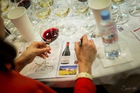 Masterclass Privata dei nostri Vini, Eccellenza dei nostri terroir