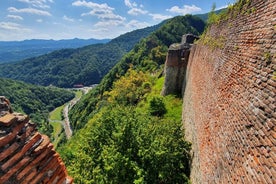 Tour privato di un'intera giornata di Bears e Dracula da Bucarest