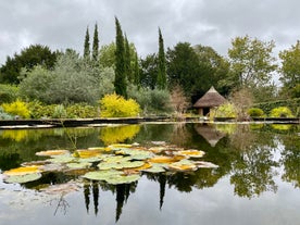 University of Bristol Botanic Garden