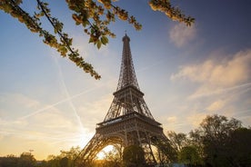 Paris Illumination Tour & Torre Eiffel (acesso reservado)