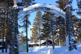 Excursion au zoo de Ranua au départ de Rovaniemi avec déjeuner