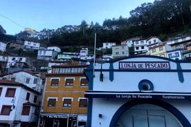 En dagstur CUDILLERO Vidio Cape Cathedrals Beach Luarca