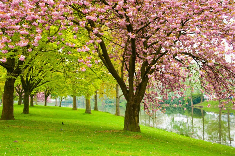 park of Tilburg, Netherland