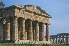 Visita guidata degli scavi di Paestum