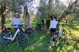 E-Bike Tour and Olive Oil Tasting in the Apulian Countryside