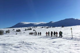 Sofia: Black Peak-Vitosha Mountain Snowshoeing Day Trip