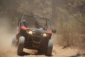 Buggy Safari Teide National Park