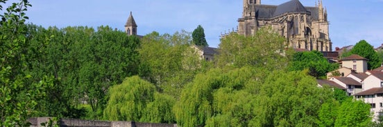 Les érables des benedictins