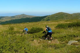 Vitosha Trail Hunter Bike Tour from Sofia