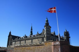 Roskilde, Frederiksborg y Kronborg Private Tour from Copenhague