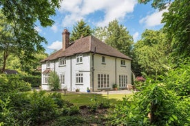 Tanglewood - Large House near Goodwood Events with Beautiful Gardens - Dog's Welcome