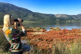  Albania: Jeep-tur til Cape Rodon Bay med lunsj og vinsmaking hele dagen fra Tirana