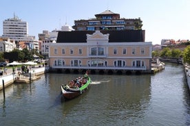 Privétour naar unieke gestreepte huizen in Aveiro en Costa Nova