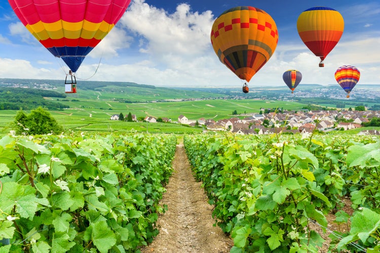 Photo of Colorful hot air balloons flying over champagne Vineyards at Montagne de Reims, France.