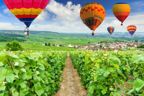 Photo of Colorful hot air balloons flying over champagne Vineyards at Montagne de Reims, France.