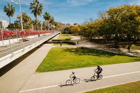 GRAND CITY | Group Guided Tour on Bike