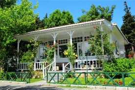 Dolmbahce Palace, Camlica Hill and Bosphorus Bridge tour