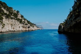 Private trip to Cassis, Calanques & Marseille with wine tasting