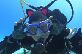 Try Diving (Discover Scuba Diving)