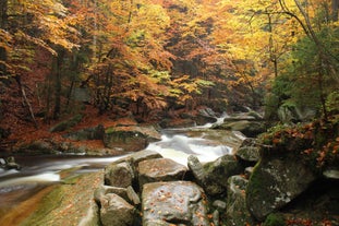 Harrachov - town in Czech Republic