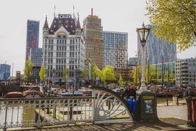 Tour a piedi delle attrazioni di Rotterdam e delle gemme nascoste con gente del posto! 